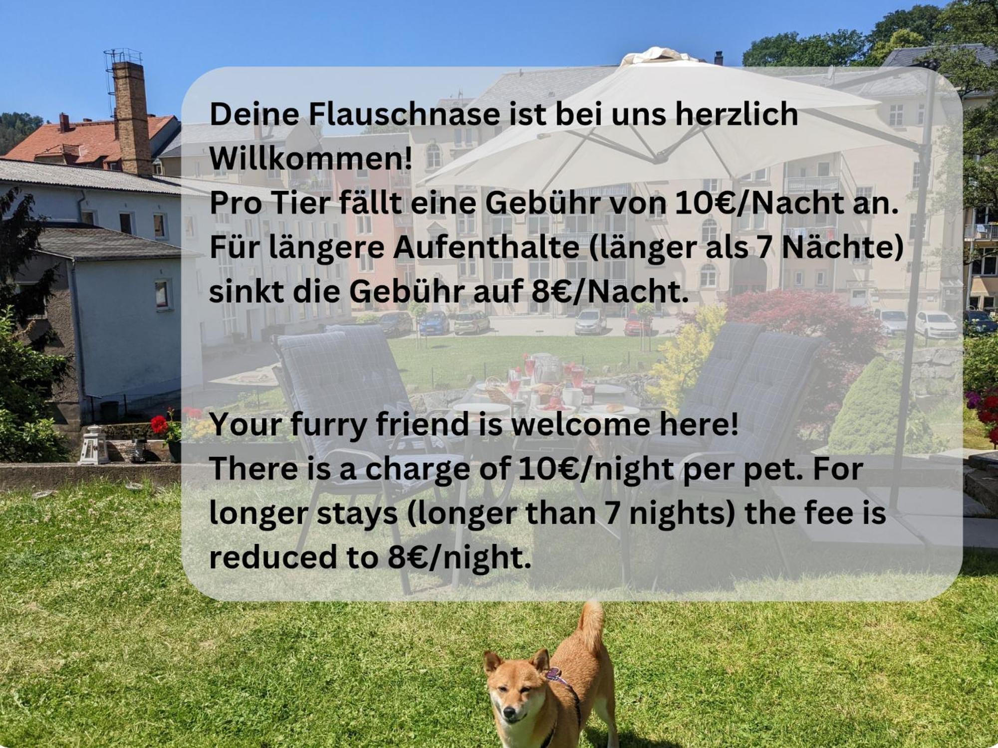 Hw2 - Urlaubsmagie - Sauna & Whirlpool Fuer Alle Sebnitz Exterior photo
